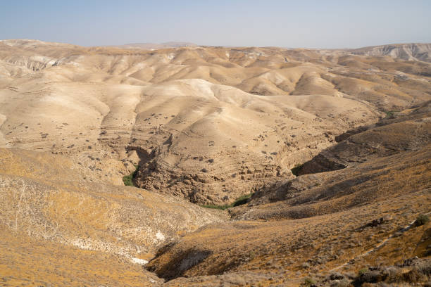 istock Prat Brook in the Judea Desert, Israel 1480248838
