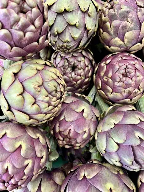 artichokes, heap or pile of fresh raw artichokes in a farmers market. fresh food concept backgrounds or surface with beautiful raw vegetables