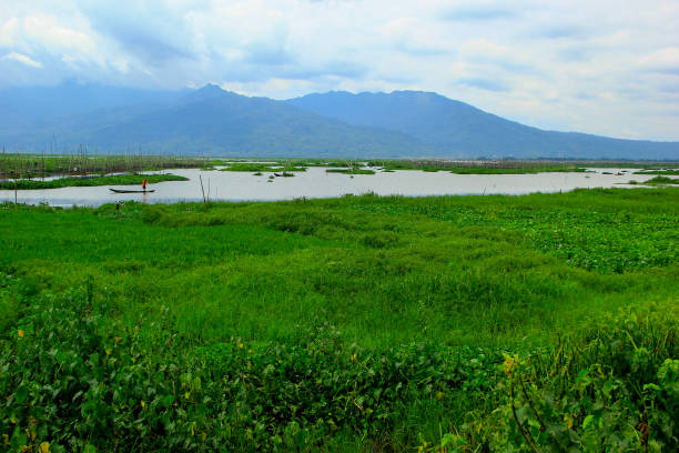 views of the lake, rice fields and mountains in Rawa Pening views of the lake, rice fields and mountains in Rawa Pening rawa island stock pictures, royalty-free photos & images