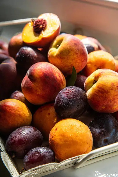 Photo of Heap of fresh peaches, apricots and plums in tray.