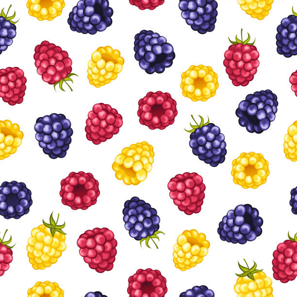 310+ Red Raspberry Leaf Stock Illustrations, Royalty-Free Vector ...