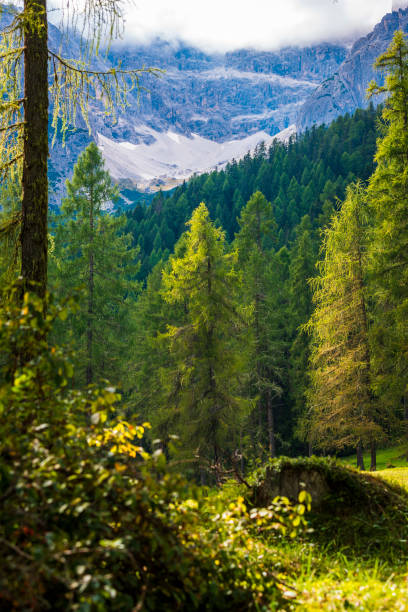 istock Val Fiscalina. Frame of the Sesto Dolomites. 1480255247