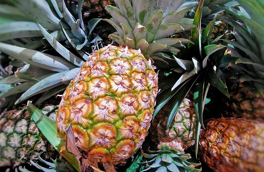 Group of Pineapple at stall market