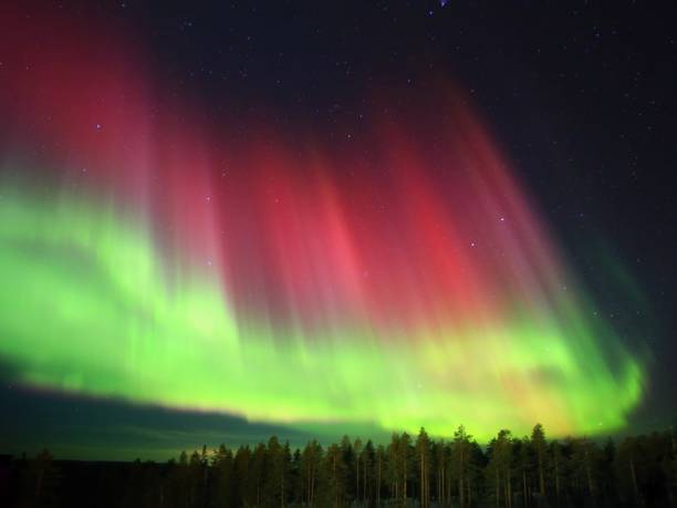 Red and green aurora above forest in northern Sweden Red and green aurora above forest in northern Sweden. norrbotten province stock pictures, royalty-free photos & images