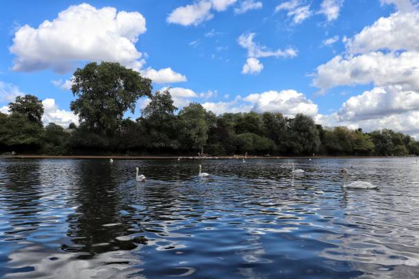 istock Pond at Hyde park, London 1480264143