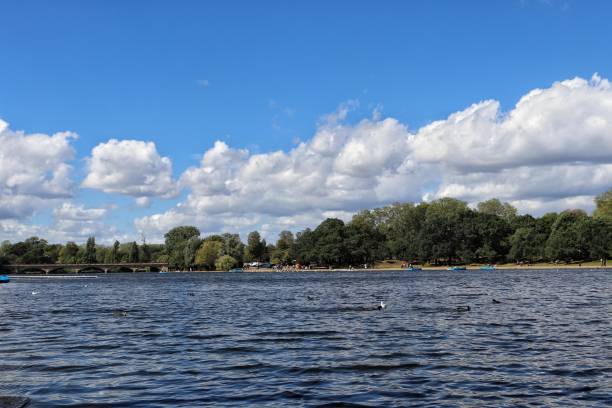 istock Pond at Hyde park, London 1480264147