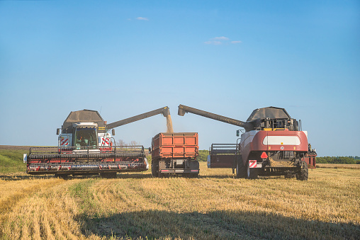 Two agricultural combine harvesters loading in the lorry on the sunny summer day, blue sky