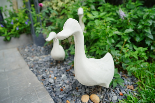 The eggcups in form of goose and hahn, in different positions of the body. Focus on the one in the front