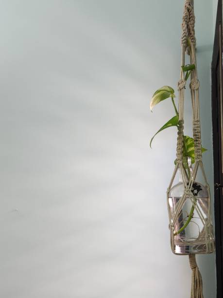 istock There's life in every corner 1480266805