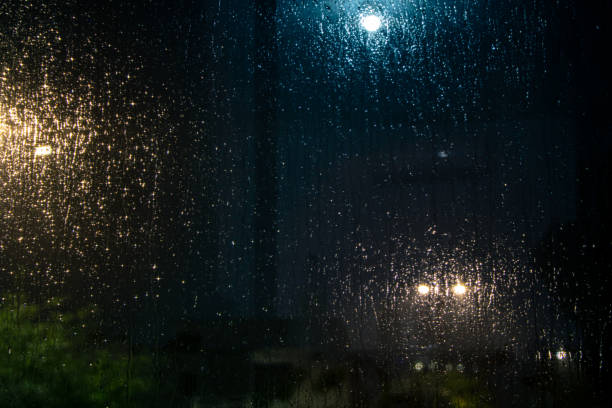 Noche lluviosa viendo tras la ventana y al fondo un árbol