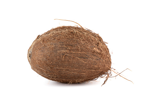 Side view of an unpeeled coconut on a white background. Copy space.