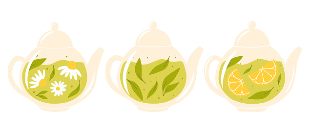 Set of teapots with tea. Collection of teapots with green, herbal and chamomile tea. Vector illustration. Flat style.