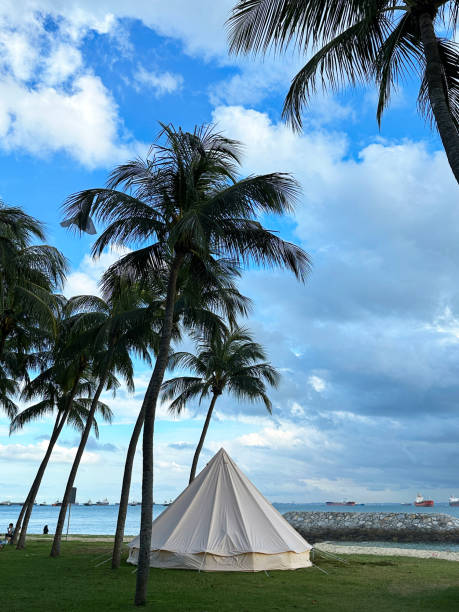 istock Image of multi person, pyramid roof tent erected under palm trees at campsite by waterfront, East Coast Park, Singapore, cloudy sunny blue sky 1480270749
