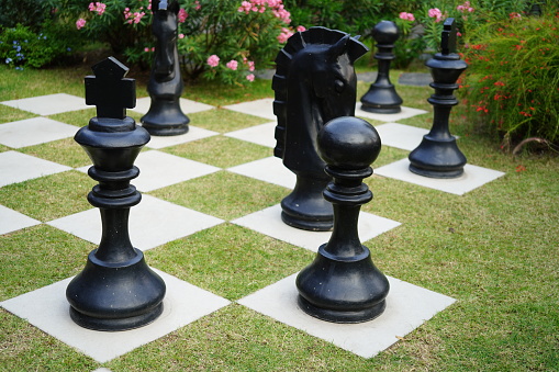 Close-up Big horse in grass chess board in a public park