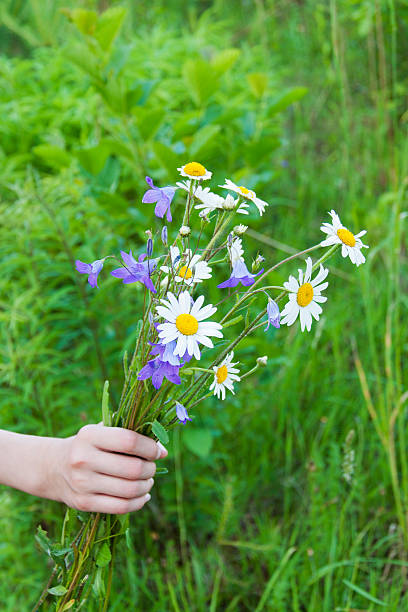 istock bouquet of wild flowers 148027179