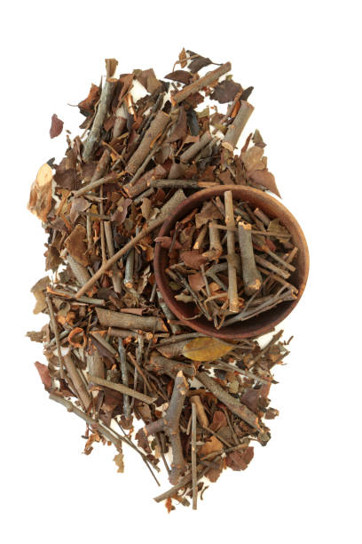 istock Mulberry Mistletoe Herb Chinese Herbal Medicine 1480272103