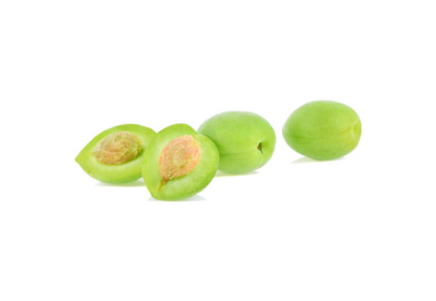 istock Green plum isolated on white background 1480274913