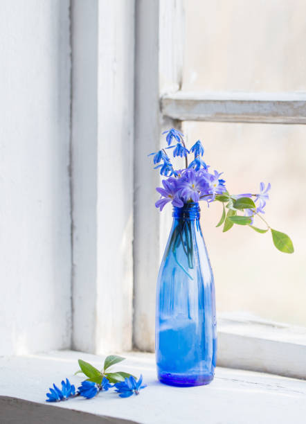 istock blue snowdrops in glass bottle on old white windowsill 1480279598