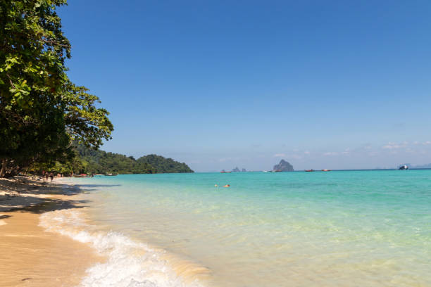 istock Paradise beach is a really tranquil place. Crystal clear water and a very interesting snorkeling reef at Koh Kradan in Trang, Thailand. 1480281813