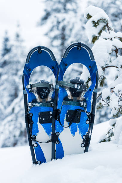 racchette da neve blu nella foresta innevata invernale. - snowshoeing foto e immagini stock