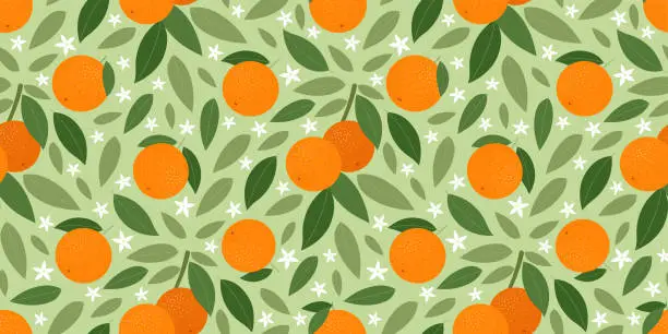 Vector illustration of Seamless pattern with tangerines and leaves. Vector illustration.