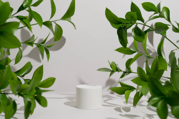istock Empty white round podium, natural branches and green leaves with shadows on grey background. Pedestal for product presentation. Mockup for eco beauty cosmetic advertising. Copy space, front view 1480292897