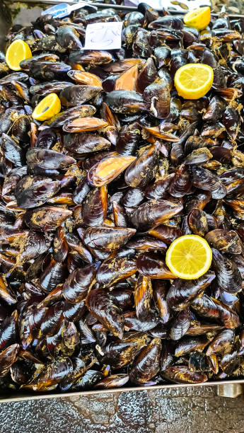 Catania - Freshly prepared grilled artichokes at streetmarket in Catania, Sicily, Italy Close up view on a table full of fresh mussels with lemon on daily fish market in Catania, Sicily, Italy, Europe. Stall with local types of fresh seafood. La Pescheria. Traditional bazaar amalfi food stock pictures, royalty-free photos & images