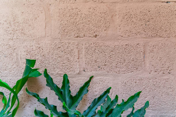 istock Tropical palm leaves with shadows on white concrete wall abstract blurred tropical background. stock photo 1480295191