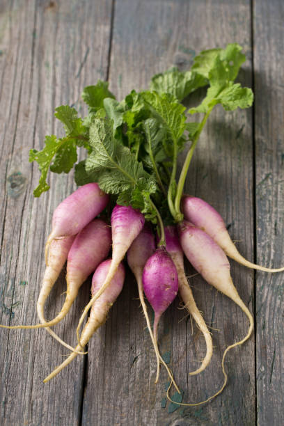 istock radish with purple-white skin with leaves 1480300567