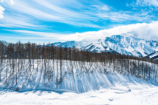 View of snowed Japanese Mountain , Hakuba Japan