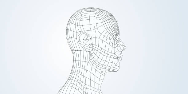 Head network model Layered illustration of head. Global colors used wire frame model stock illustrations