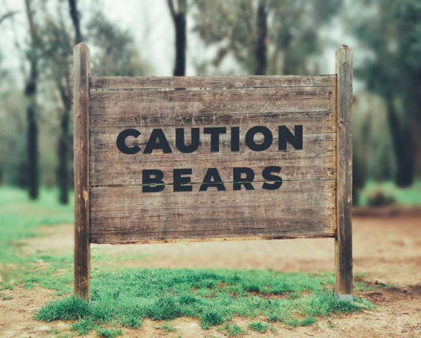 istock a forest wood sign with text saying Caution Bears 1480307025