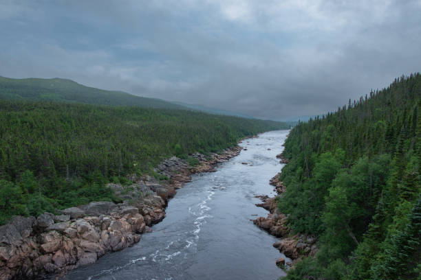 A serene scene of the lazy Mississagi River as it flows through lush green trees.