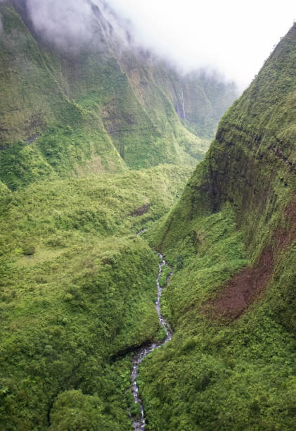 istock Hawaiian Rainforest waterfall In kauai 1480315808