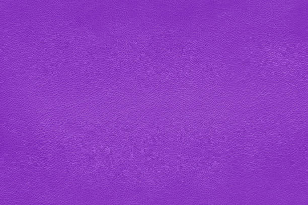 istock Texture of soft purple, violet leather. Natural cowhide, abstract background. 1480317854