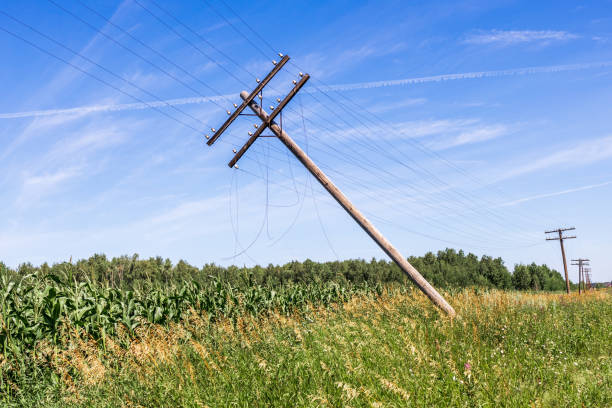 istock old wooden pole on a field with green grass 1480319637