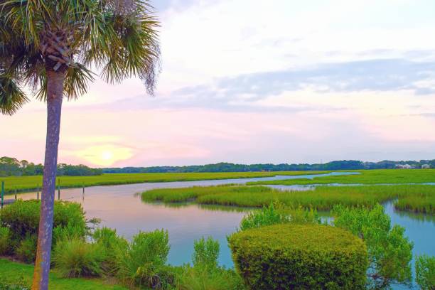 istock Marsh Sunrise- Hilton Head, South Carolina 1480319935