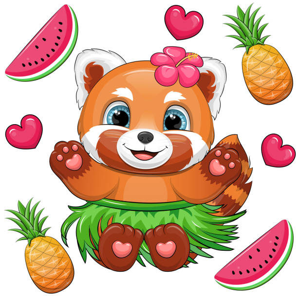 illustrations, cliparts, dessins animés et icônes de joli dessin animé panda roux hawaïen avec des fruits tropicaux. - young animal baby panda red