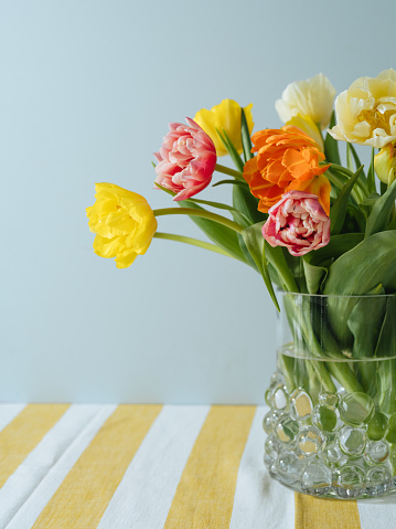 Still life with bunch of yellow tulips in blue glass vase on white table. Home interior decor. copy space