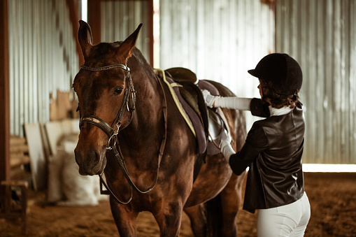 Young woman rider with brown beautiful horse, stands nearby in jockey clothes, selective focus