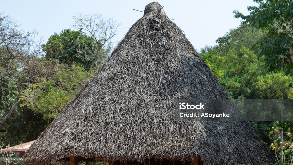 Foto Der Schönen Auroville Dorf Flora Fauna Und Waldgebiet Pondicherry