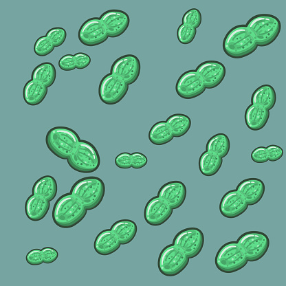 Synechococcus are photosynthetic unicellular cyanobacteria that fix nitrogen and play a vital role in marine ecosystems. They are key primary producers and contribute to global C and N cycles