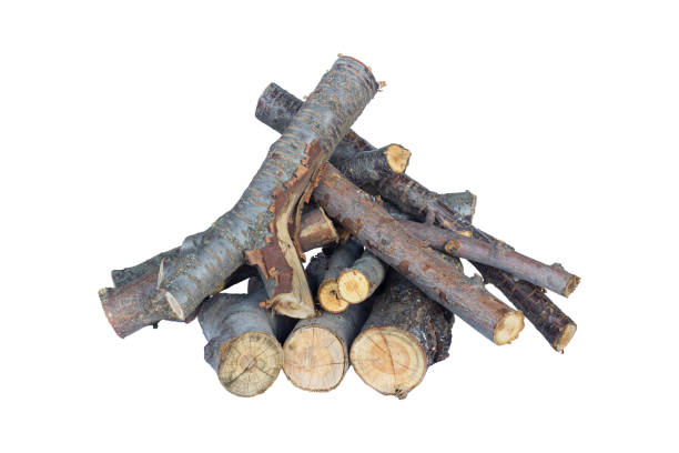 firewood stacked for a fire, isolated from the background