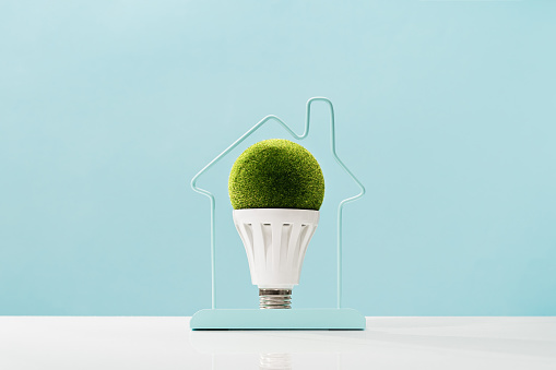 LED green grass light bulb inside house frame on blue background. Green energy saving and smart house solutions. Sustainable consumption. Earth Day. Smart ideas