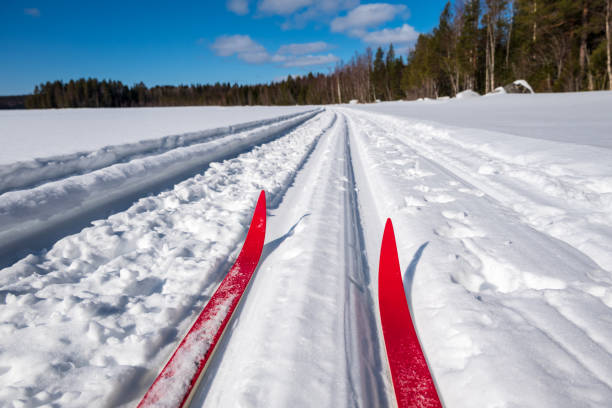 istock Skis in a track from a low angle. 1480333753