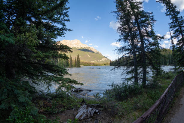istock Area just before the waterfall at Athabasca Falls in Jasper National Park Canada 1480340649