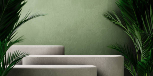 Stone product podium with tropical palm leaf on green wall background.