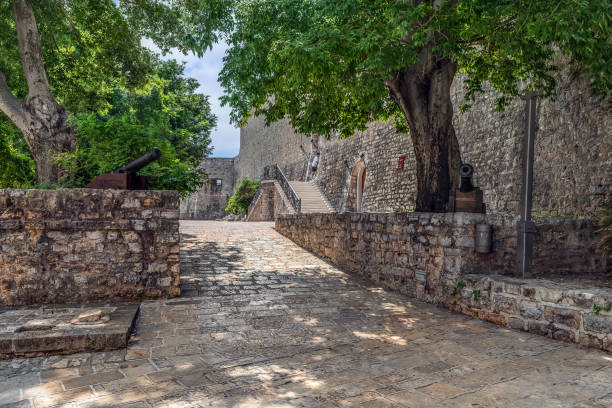 Ancient paved road to the Budva Citadel in the Old Town, Montenegro Ancient paved road to the Budva Citadel in the Old Town, Montenegro. Alley with green trees and two ancient cannons among the stone architecture budva stock pictures, royalty-free photos & images