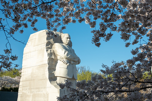 Martin Luther King's memorial in Washington. DC framed by cherry blossoms. Memorial is on the tidal basin
