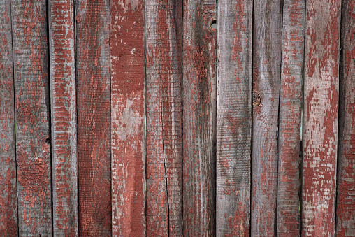 Texture of old rustic battered red vertical boards. Background of red and gray peeling painted wooden wall.